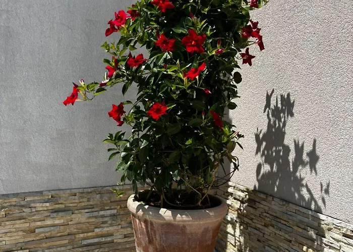 Bonbon 3 Биоград-на-Мору